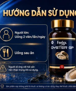 Tinh chất hàu biển cao cấp, hỗ trợ bổ sung dưỡng chất cho cơ thể - Thực phẩm bảo vệ sức khỏe Feelex hộp 60 viên - Ảnh 3