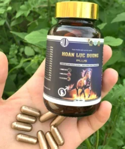 Viên Uống Hoàn Lực Dương Plus 50V Chính Hãng 6 Viên Uống Hoàn Lực Dương Plus 50V Chính Hãng - Ảnh 3