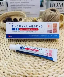 Kem Bôi Viêm Da Cơ Địa Xuất NHẬT BẢN - Hỗ Trợ Hắc Lào, Tổ Đỉa, Á Sừng, Nước Ăn Chân Tay - Ảnh 4