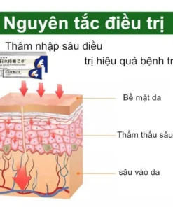 Kem Bôi Trĩ Nhật Bản SHORIN-Kem SHORIN Cải Thiện Tình Trạng Trĩ Ngoại Trĩ Nội Ngoại - Ảnh 9