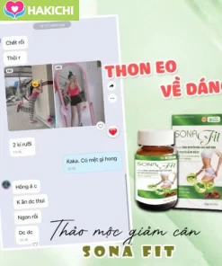 Giảm cân SONA FIT thảo mộc giảm cân diệt mỡ, viên giảm cân an toàn tiện lợi hộp 60 Viên - Ảnh 2