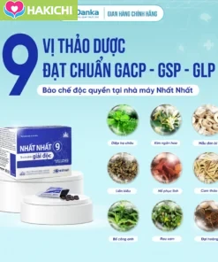 Nhất Nhất 9 - Hỗ trợ Thanh Nhiệt Giải Độc, Giảm mụn nhọt, mẩn ngứa, táo bón, nhiệt miệng - Ảnh 4