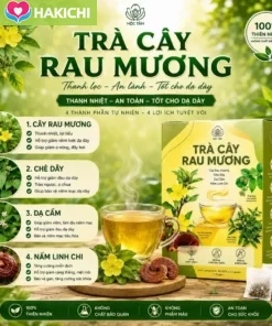 Trà Cây Rau Mương Nghệ Vàng - Hỗ Trợ Các Vấn Đề Dạ Dày, Trào Ngược, HP, Ợ Hơi, Ợ Chua, Đại Tràng - Ảnh 3