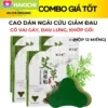 Hộp 12 Miếng Cao Dán Ngải Cứu Giảm Đau Xương Khớp, Nhức Mỏi Cổ Vai Gáy Lưng Đầu Gối An Chi Organic