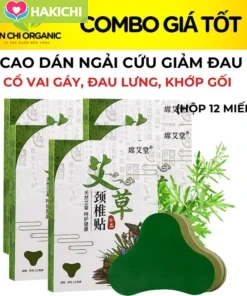Hộp 12 Miếng Cao Dán Ngải Cứu Giảm Đau Xương Khớp, Nhức Mỏi Cổ Vai Gáy Lưng Đầu Gối An Chi Organic
