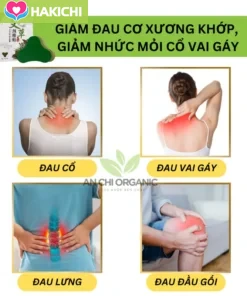 Hộp 12 Miếng Cao Dán Ngải Cứu Giảm Đau Xương Khớp, Nhức Mỏi Cổ Vai Gáy Lưng Đầu Gối An Chi Organic - Ảnh 3