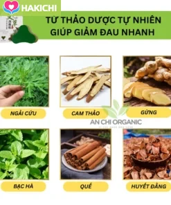 Hộp 12 Miếng Cao Dán Ngải Cứu Giảm Đau Xương Khớp, Nhức Mỏi Cổ Vai Gáy Lưng Đầu Gối An Chi Organic - Ảnh 5