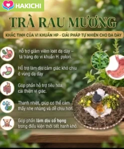 Trà Cây rau Mương , H.Trợ , Trào Ngược , Ợ Hơi, Ợ chua, DAU DẠ DÀY ,Nóng Rát Cổ , Tức Ngực , HP , Đại Tràng - Ảnh 9