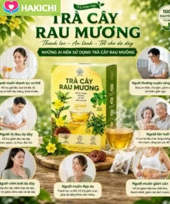 Trà Cây Rau Mương Nghệ Vàng - Hỗ Trợ Các Vấn Đề Dạ Dày, Trào Ngược, HP, Ợ Hơi, Ợ Chua, Đại Tràng - Ảnh 8